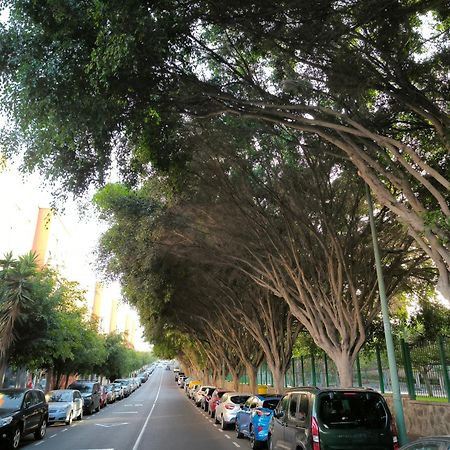 Beis House Apartman Las Palmas de Gran Canaria Kültér fotó
