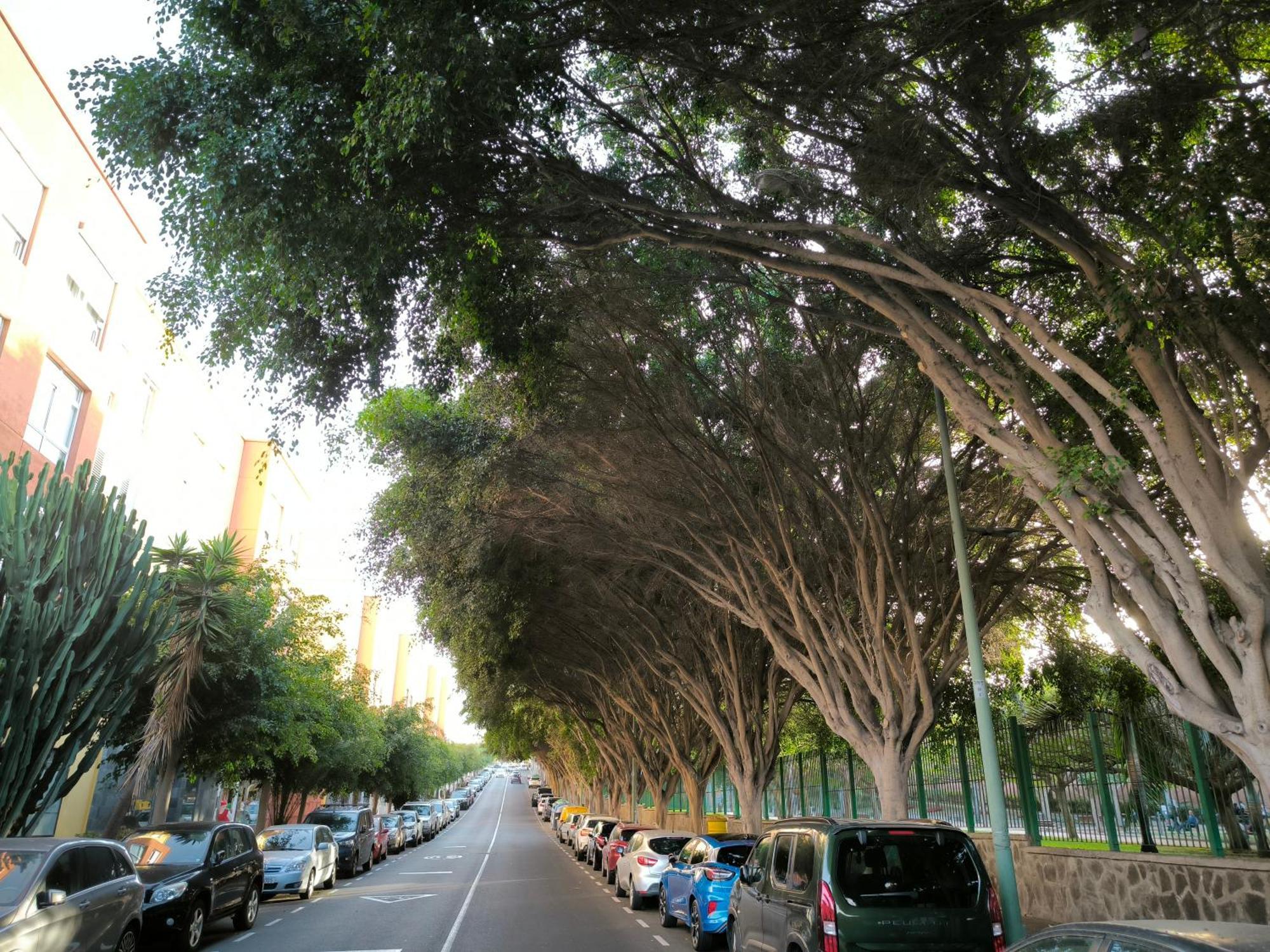 Beis House Apartman Las Palmas de Gran Canaria Kültér fotó
